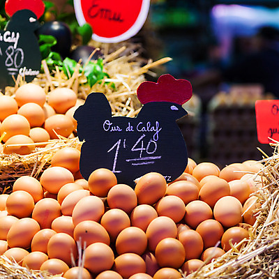 포토 JPG 해외이미지 동물 음식 다이어트 벤치 비즈니스 재료 자연 건강 사람없음 내부 계란 식사 치킨 유로 신선 그룹 시장 맛 상품 가격 먹기 사인 유기농 신호 날것 내추럴 단백질 매각 해외202004 해외포토 웰빙 컨셉 돈 의자 모션 알 생태계 닭고기요리 영양소 파일형식 이미지허브