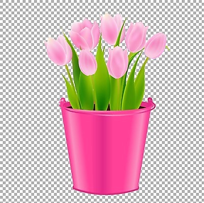 EPS 해외이미지 식물 디자인 계절 꽃 화분 줄기 분홍색 꽃다발 백그라운드 꽃무늬 오렌지 일러스트 자연 부활절 발렌타인데이 빨간색 초록색 파란색 컬러풀 노란색 꽃병 봄 튤립 벚꽃 흰색 신선 냄비 제비꽃 흰배경 엽서 내추럴 고립 엘리먼트 많음 해외202004 해외일러스트 기념일 컬러 컨셉 무늬 과일 데이이벤트 솥 편지 생태계 파일형식 벡터 이미지허브