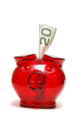 포토 JPG 해외이미지 백그라운드 컨셉 돈 캐나다 비즈니스 미래 안전 사람없음 빨간색 초록색 금융 경제 달러 저축 성장 흰색 돼지 재산 은퇴 오브젝트 보안 투자 계산서 빚 계좌 고립 수입 자금 해외202004 해외포토 컬러 북아메리카 포유류 파일형식 이미지허브