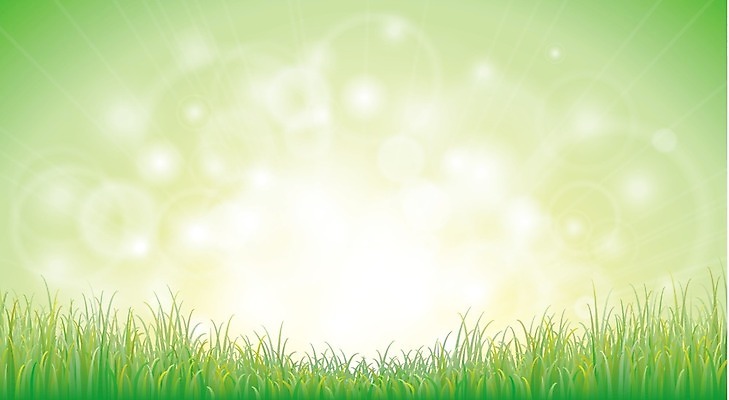 EPS 해외이미지 식물 디자인 계절 공원 백그라운드 잎 밭 일러스트 자연 벽지 풍경 잔디 야외 초록색 여름 빛 정원 봄 자유 성장 신선 땅 보케 내추럴 생태학 해외202004 해외일러스트 공공시설 교육 컬러 컨셉 농업 생태계 파일형식 벡터 이미지허브