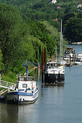 포토 JPG 해외이미지 나무 요트 주택 항해 풍경 사람없음 야외 물 강 교회 프랑스 도시 보트 강가 그림 타운 해외202004 해외포토 자연요소 식물 유럽 배_교통 종교건축 건물 파일형식 이미지허브