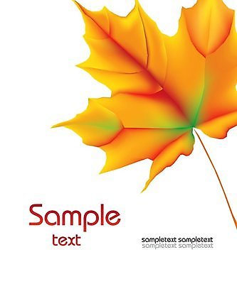 EPS 해외이미지 나무 식물 디자인 계절 백그라운드 단풍 잎 캐나다 꽃무늬 패턴 오렌지 일러스트 자연 목재 그래픽 장식 빨간색 컬러풀 노란색 가을 달콤 9월 11월 심볼 그림 10월 엘리먼트 플라타너스 해외202004 해외일러스트 꽃 컬러 북아메리카 무늬 과일 재료 날짜 맛 생태계 파일형식 벡터 이미지허브