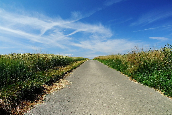 포토 JPG 해외이미지 사람없음 해외202004 해외포토 파일형식 이미지허브