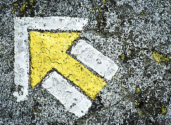 포토 JPG 해외이미지 나무 공원 도로 길 여행 백그라운드 자국 자연 화살 사람없음 야외 목재 초록색 노란색 여행객 산책 트래킹 하이킹 흰색 숲 방향 심볼 사인 질감 루트 방법 선로 해외202004 해외포토 식물 공공시설 컬러 재료 교통시설 레저 휴식 사람 생태계 파일형식 이미지허브