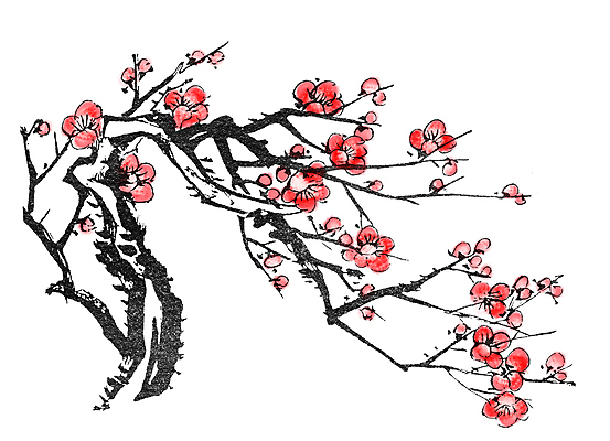 JPG 해외이미지 일러스트 붓터치 미술 사람없음 빨간색 벚꽃 먹 동양화 그림 번짐 꽃가지 해외202004 해외일러스트 꽃 컬러 서예 문화예술 나뭇가지 파일형식 효과 이미지허브