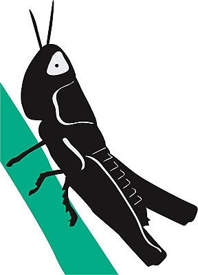 EPS 해외이미지 동물 캐릭터 디자인 실루엣 곤충 일러스트 자연 동물원 여름 만화 허브 그림 생물학 메뚜기 고립 해외202004 해외일러스트 일러캐릭터 식물 계절 교육 촬영기법 생태계 파일형식 벡터 이미지허브