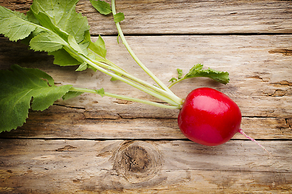 포토 JPG 해외이미지 식물 음식 백그라운드 잎 채소 재료 자연 탁자 건강 사람없음 목재 빨간색 초록색 농작물 성장 신선 작음 다발 먹기 유기농 날것 뿌리 흙더미 숙성 채식주의자 총각무 해외202004 해외포토 나무 웰빙 컬러 가구 농업 모션 흙 크기 무 생태계 채식 파일형식 더미 이미지허브