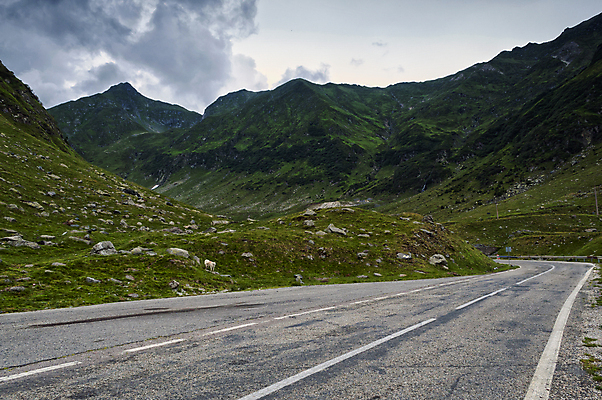 포토 JPG 해외이미지 나무 구름 계절 유럽 도로 여행 백그라운드 교통시설 자연 하늘 산 풍경 사람없음 야외 가로 초록색 여름 환경 봄 손상 시골 고속도로 숲 아스팔트 땅 속도 루마니아 내추럴 루트 방법 해외202004 해외포토 자연요소 식물 나라 길 컬러 교통 컨셉 시설 생태계 파일형식 이미지허브