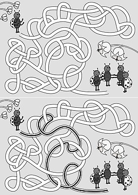 EPS 해외이미지 교육 꽃 길 곤충 일러스트 검은색 게임 흰색 퍼즐 만화 그림 무당벌레 미로 해결 구성 쉬운 해외202004 해외일러스트 식물 동물 컬러 놀이 파일형식 벡터 이미지허브