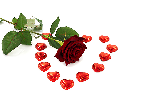 포토 JPG 해외이미지 식물 기념일 꽃잎 꽃 줄기 컨셉 잎 꽃무늬 자연 휴가 발렌타인데이 선물 사랑 사람없음 장식 빨간색 초록색 장미 초콜릿 봄 흰색 하트 신선 우아함 오브젝트 싱글 열정 고립 완전 해외202004 해외포토 모양 계절 감정 컬러 무늬 데이이벤트 디저트 이벤트 생태계 파일형식 이미지허브