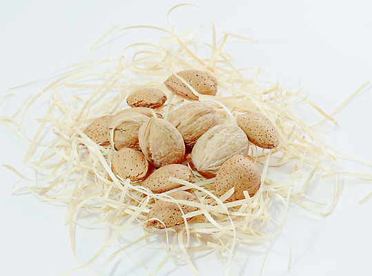 포토 JPG 해외이미지 백그라운드 다이어트 과일 재료 자연 건조 건강 씨앗 사람없음 갈색 견과류 껍질 흰색 그룹 닫기 맛 혼합 먹기 유기농 알맹이 날것 호두 아몬드 내추럴 개암나무 채식주의자 헤이즐넛 해외202004 해외포토 나무 식물 웰빙 컬러 컨셉 모션 생태계 채식 파일형식 이미지허브