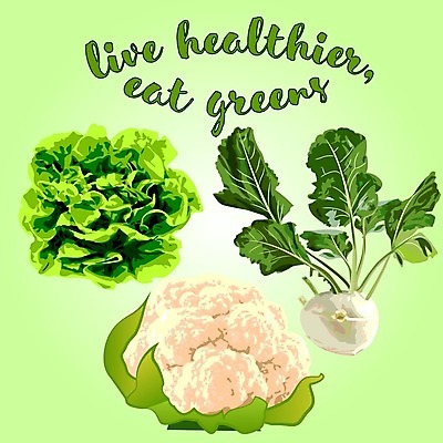 EPS 해외이미지 클립아트 식물 디자인 음식 컨셉 잎 농업 다이어트 채소 일러스트 재료 건강 요리 초록색 농장 머리 주방 정원 식사 샐러드 수확 신선 시장 상추 먹기 유기농 양배추 날것 내추럴 숙성 온실 채식주의자 콜라비 그리너리 비건 해외202004 해외일러스트 웰빙 산업 컬러 모션 신체부위 채식 파일형식 벡터 트랜드컬러 이미지허브