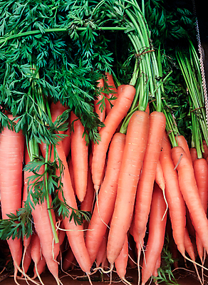 포토 JPG 해외이미지 모양 잡화 계절 음식 잎 패턴 농업 다이어트 채소 자연 건강 서기 사람없음 초록색 상자 컬러풀 쌓기 상점 정원 당근 수확 신선 시장 맛 먹기 피부 유기농 질감 내추럴 판지 숙성 채식주의자 많음 해외202004 해외포토 식물 웰빙 산업 컬러 컨셉 무늬 모션 뿌리채소 신체부위 생태계 채식 파일형식 이미지허브