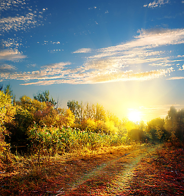 포토 JPG 해외이미지 주간 구름 길 자연 하늘 사람없음 야외 가을풍경 가을 해외202004 해외포토 자연요소 계절 풍경 생태계 파일형식 가을_계절 이미지허브