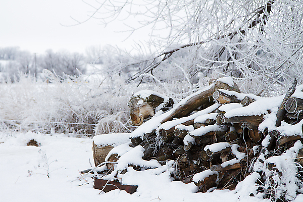 포토 JPG 해외이미지 나무 계절 겨울 자연 불 건조 사람없음 야외 목재 쌓기 냉동 얼음 힘 에너지 추위 나뭇가지 시골 뜨거움 그룹 숲 장작 12월 자르기 서리 통나무 연료 난방 잡동사니 흙더미 내추럴 벌목 수목 화상 눈내림 해외202004 해외포토 자연요소 식물 재료 모션 눈_날씨 흙 날짜 상처 생태계 파일형식 더미 이미지허브