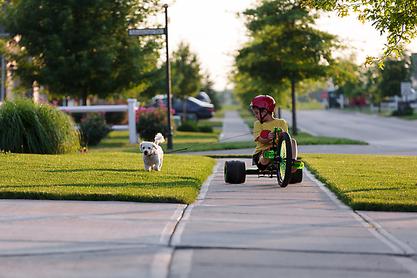 포토 JPG 해외이미지 라이프스타일 도로 어린이 스포츠 여행 자동차 놀이 아침 건강 한명 안전 소년 야외 빨간색 여름 청춘 걷기 자전거 봄 기쁨 육아 바퀴 모서리 개 리트리버 놀이터 승차 조경 타운 일요일 이웃 개발 해외202004 해외포토 주간 1 계절 남자 감정 길 육상교통 컬러 컨셉 포유류 교통시설 모션 사람 생활 바이크 도시 요일 파일형식 이미지허브
