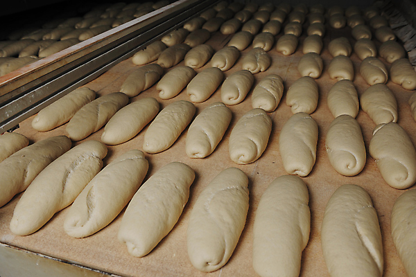 포토 JPG 해외이미지 빵 공장 실내 사람없음 가득함 반죽 일렬 많음 해외202004 해외포토 음식 컨셉 공업 내부 파일형식 이미지허브