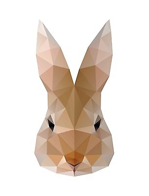 EPS 해외이미지 동물 캐릭터 디자인 얼굴 야생동물 스티커 일러스트 자연 추상 부활절 동물원 미술 장식 반려동물 달리기 농장 머리 라벨 토끼 숲 무서움 만화 스마트 심볼 속도 종이접기 고립 동물상 폴리곤 활자 스타일 해외202004 해외일러스트 일러캐릭터 기념일 감정 종이 컨셉 무늬 농업 포유류 모션 문화예술 프레임 신체부위 조형물 생태계 접기 활자판 파일형식 벡터 이미지허브