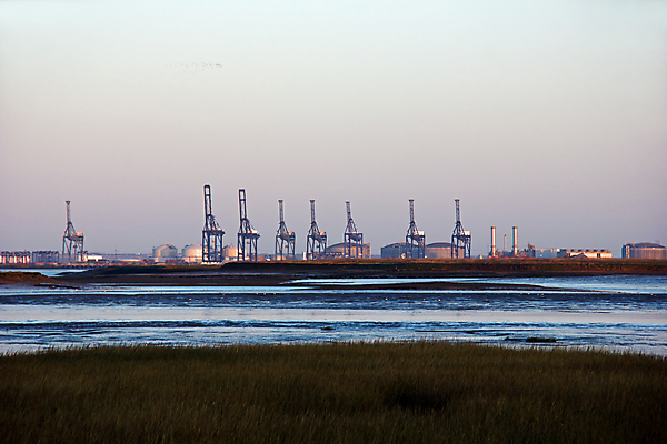 포토 JPG 해외이미지 야생동물 조류 하늘 잉글랜드 사람없음 일출 새벽 컨테이너 기중기 런던 포트 해외202004 해외포토 자연요소 동물 산업 영국 노을 중장비 파일형식 이미지허브