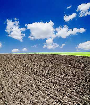 포토 JPG 해외이미지 구름 산업 지구 백그라운드 밭 농업 자연 하늘 풍경 사람없음 야외 초록색 파란색 빛 햇빛 농장 농경지 갈색 환경 경작 맑음 검은색 흙 봄 성장 흰색 시골 땅 만취 언덕 질감 먼지 장면 내추럴 땅바닥 밭일 줄서기 평야 수평선 세련 해외202004 해외포토 자연요소 계절 컬러 모션 날씨 바닥 태양 농사 생태계 술취함 파일형식 이미지허브