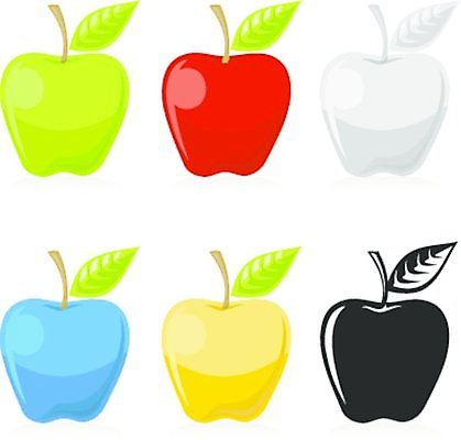 EPS 해외이미지 음식 잎 과일 일러스트 빨간색 초록색 파란색 노란색 사과 광택 고립 숙성 해외202004 해외일러스트 식물 컬러 파일형식 벡터 이미지허브