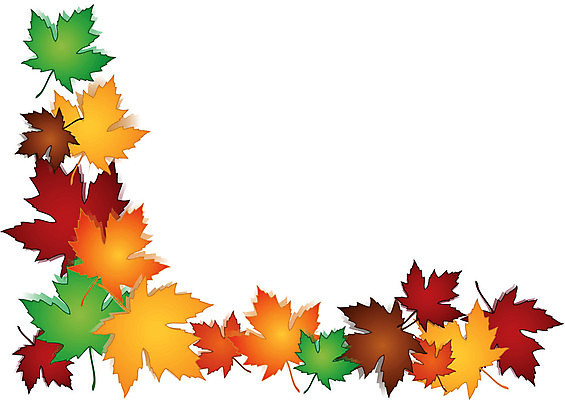 EPS 해외이미지 나무 식물 디자인 계절 단풍 잎 오렌지 일러스트 자연 프레임 종류 그림자 그래픽 빨간색 초록색 컬러풀 갈색 추위 가을 신용카드 혼합 숲 그늘 옵션 해외202004 해외일러스트 컬러 과일 금융 생태계 파일형식 벡터 이미지허브