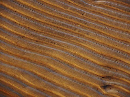 포토 JPG 해외이미지 디자인 선 백그라운드 컨셉 상상 동화 추상 휴가 프레임 건조 창조 어류 풍경 사람없음 가로 컬러풀 갈색 사막 뜨거움 유머 황금 가장자리 모래언덕 묘사 그림 금붕어 마법 생태학 이국적 해외202004 해외포토 교육 감정 컬러 무늬 수중동물 둘레 언덕 파일형식 이미지허브