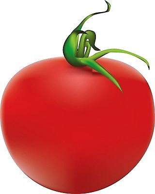 EPS 해외이미지 디자인 행복 산업 음식 농업 토마토 채소 과일 일러스트 재료 요리 빨간색 초록색 레시피 내추럴 밭일 숙성 해외202004 해외일러스트 감정 컬러 파일형식 벡터 이미지허브