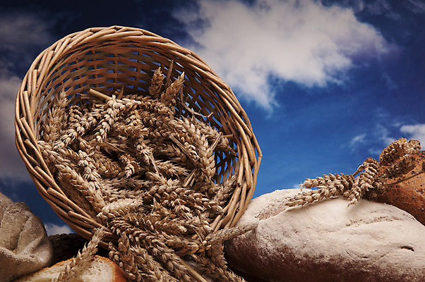 포토 JPG 해외이미지 식물 구름 전통 음식 빵 조각 백그라운드 다이어트 채소 과일 자연 탁자 하늘 아침 치즈 건조 파스타 건강 옥수수 씨앗 사람없음 목재 파란색 빛 갈색 주방 식사 빵집 맛 아침식사 상품 굽기 향수 준비 유기농 심플 밀가루 꿀 덩어리 작살 호밀 귀리 해외202004 해외포토 주간 자연요소 나무 웰빙 컬러 가구 컨셉 재료 유제품 곡류 서양음식 상점 화장품 가루 구이 생태계 파일형식 이미지허브