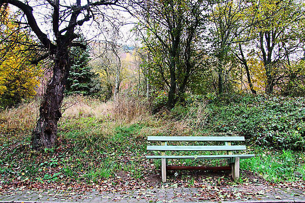 포토 JPG 해외이미지 사람없음 침묵 해외202004 해외포토 소리 파일형식 이미지허브