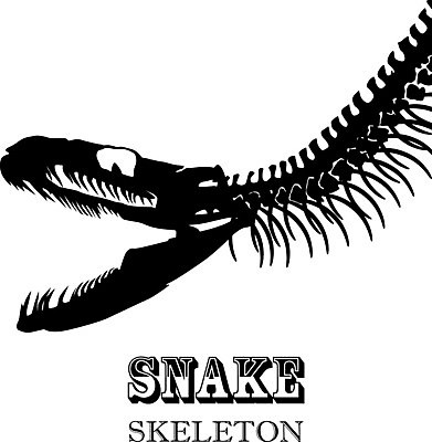 EPS 해외이미지 동물 실루엣 일러스트 파충류 추상 뼈 골격 독약 뱀 무서움 해외202004 해외일러스트 감정 무늬 촬영기법 파일형식 벡터 이미지허브