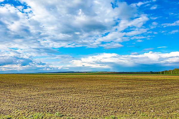 포토 JPG 해외이미지 나무 식물 구름 디자인 계절 백그라운드 밭 자연 하늘 추상 풍경 잔디 사람없음 야외 초록색 여름 파란색 빛 햇빛 태양 농장 농경지 노란색 환경 정원 축구 봄 흰색 시골 신선 숲 땅 묘사 언덕 천국 파라다이스 페어웨이 수평선 그리너리 해외202004 해외포토 자연요소 컬러 무늬 농업 골프 구기 생태계 파일형식 트랜드컬러 이미지허브