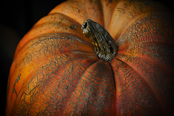 포토 JPG 해외이미지 계절 음식 채소 오렌지 장난 호박 휴가 사람없음 컬러풀 노란색 어둠 할로윈 수확 가을 축하 대접 무서움 10월 나쁜 오싹 해외202004 해외포토 감정 컬러 컨셉 농업 과일 날짜 파일형식 이미지허브