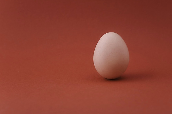 포토 JPG 해외이미지 아이콘 음식 백그라운드 자연 휴가 부활절 실내 건강 사람없음 갈색 상점 계란 껍질 신선 시장 상품 먹기 심볼 묘사 준비 유기농 날것 내추럴 단백질 줄서기 해외202004 해외포토 웰빙 기념일 컬러 모션 내부 알 생태계 영양소 파일형식 이미지허브