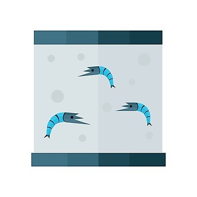 EPS 해외이미지 여행 오렌지 일러스트 가족 관계 조개 새우 갑각류 수중 수영 줄무늬 게 흰색 산호 작음 탱크 태평양 암초 촉수 청소부 거짓 깊이 소금물 해외202004 해외일러스트 동물 직업 바다 컬러 무늬 과일 어패류 수상스포츠 자포동물 크기 파일형식 벡터 스포츠 수중동물 이미지허브