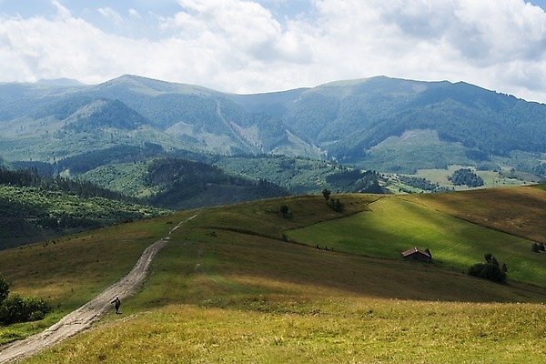 포토 JPG 해외이미지 나무 도로 길 여행 밭 자연 하늘 산 주택 그림자 풍경 소년 잔디 사람없음 초록색 여름 계곡 맑음 시골 건초더미 볏짚 숲 언덕 산등성이 먼지 장면 침엽수 동쪽 내추럴 산악지대 우크라이나 수평선 해외202004 해외포토 식물 계절 남자 유럽 어린이 컬러 농업 교통시설 날씨 건물 건초 짚 방향 생태계 파일형식 더미 이미지허브