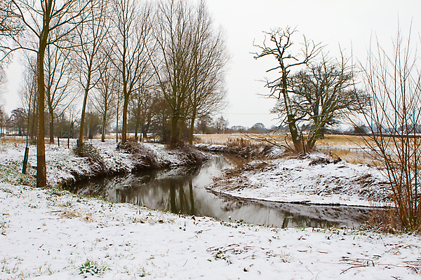 포토 JPG 해외이미지 나무 계절 공원 호수 조각 겨울 자연 하늘 아침 날씨 휴가 요정 풍경 사람없음 야외 물 빛 울타리 강 태양 반사 일출 냉동 얼음 어둠 일몰 추위 안개 흰색 나뭇가지 눈송이 숲 시원함 12월 서리 장면 눈보라 1월 내추럴 폭설 눈내림 해외202004 해외포토 주간 자연요소 식물 공공시설 컬러 눈_날씨 담장 노을 날짜 자연재해 생태계 파일형식 이미지허브