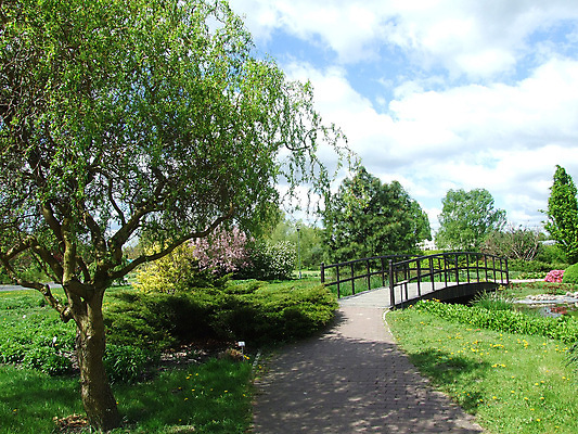 포토 JPG 해외이미지 식물 풍경 사람없음 정원 봄 작음 버드나무 해외202004 해외포토 나무 계절 크기 파일형식 이미지허브