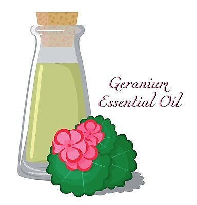 EPS 해외이미지 식물 라이프스타일 꽃 꽃다발 잎 일러스트 유리 유리병 휴식 초록색 스파 화장품 신선 마사지 맛 허브 가득함 향수 플라스크 흰배경 향기 아로마 아로마테라피 테라피 악취 내추럴 고립 돌봄 제라늄 치유 해외202004 해외일러스트 컬러 백그라운드 컨셉 모션 재질 병_용기 실험기구 생활 뷰티 흰색 냄새 파일형식 벡터 이미지허브