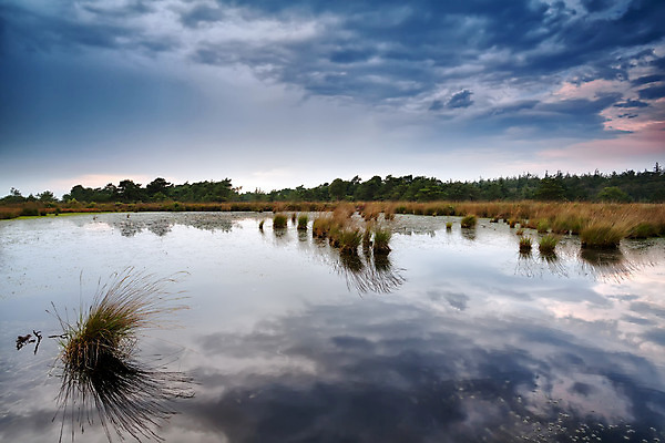 포토 JPG 해외이미지 식물 구름 계절 호수 분홍색 백그라운드 자연 표면 풍경 사람없음 야외 물 파란색 반사 일출 침묵 일몰 젖음 가을 시골 숲 네덜란드 폭풍 변소 해외202004 해외포토 자연요소 유럽 컬러 날씨 노을 소리 생태계 파일형식 이미지허브