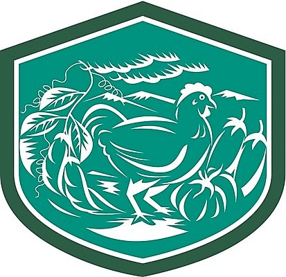 EPS 해외이미지 식물 농업 채소 일러스트 호박 가지 콩 그래픽 농작물 농장 치킨 복고 방패 스쿼시 목판화 암탉 해외202004 해외일러스트 산업 스포츠 곡류 구기 닭 암컷 닭고기요리 파일형식 벡터 이미지허브