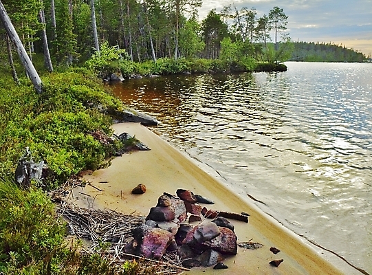 포토 JPG 해외이미지 나무 구름 실루엣 호수 모래 파도 하늘색 자연 하늘 아침 날씨 풍경 사람없음 목재 물 여름 빛 햇빛 태양 반사 갈색 맑음 분위기 황금 숲 순수 즐거움 지역 스카이라인 흐림 생태학 수평선 해외202004 해외포토 주간 자연요소 식물 계절 교육 감정 바다 컬러 컨셉 재료 촬영기법 파란색 생태계 파일형식 이미지허브