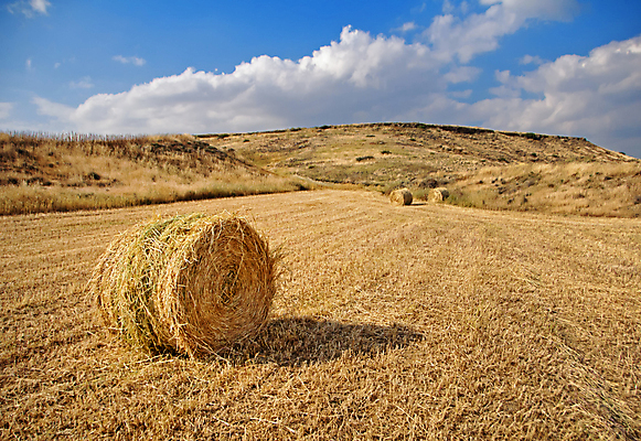 포토 JPG 해외이미지 구름 유럽 밭 농업 하늘 풍경 사람없음 야외 농장 쌓기 볏짚 롤 해외202004 해외포토 사이프러스공화국 자연요소 나라 산업 모션 짚 파일형식 이미지허브