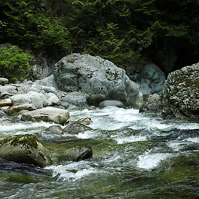 포토 JPG 해외이미지 나무 식물 선 이동 잎 모션 자연 그림자 풍경 사람없음 야외 초록색 물 강 환경 힘 거품 폭포 흐름 에너지 가을 나뭇가지 신선 액체 개울 황무지 급류 숲 강의 암초 발견 내추럴 깊이 그리너리 해외202004 해외포토 자연요소 계절 컬러 컨셉 생태계 파일형식 트랜드컬러 이미지허브