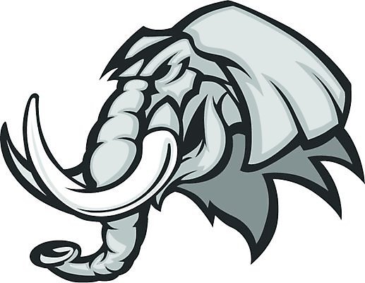 EPS 해외이미지 동물 얼굴 스포츠 일러스트 학교 코끼리 그래픽 머리 마스코트 해외202004 해외일러스트 교육 포유류 신체부위 파일형식 벡터 이미지허브