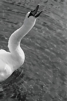 EPS 해외이미지 동물 1 계절 감정 호수 야생동물 백그라운드 겨울 일러스트 자연 조류 표면 생물 사랑 미술 물 강 냉동 얼음 검은색 고통 추위 슬픔 흰색 표현 고독 위험 사건 깃털 백조 목 발견 깨짐 비명 헬프 혼자 해외202004 해외일러스트 자연요소 컬러 컨셉 문화예술 신체부위 도움 생태계 파일형식 벡터 이미지허브