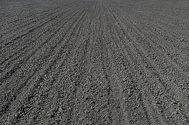 포토 JPG 해외이미지 계절 지구 선 백그라운드 패턴 밭 농업 자연 표면 건조 풍경 사람없음 농작물 농장 농경지 환경 경작 검은색 흙 봄 줄무늬 성장 시골 땅 만취 뿌리기 질감 평행 대칭 땅바닥 밭일 줄서기 직진 수평선 세련 해외202004 해외포토 산업 컬러 무늬 모션 바닥 농사 생태계 술취함 파일형식 이미지허브