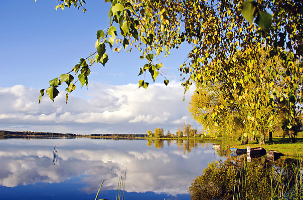 포토 JPG 해외이미지 나무 응시 계절 공원 호수 여행 자연 풍경 사람없음 야외 목재 물 강 컬러풀 햇빛 태양 반사 노란색 평화 일출 일몰 가을 시골 보트 황무지 저녁 숲 내추럴 해외202004 해외포토 자연요소 식물 시선 공공시설 컬러 컨셉 배_교통 재료 노을 야간 생태계 파일형식 이미지허브