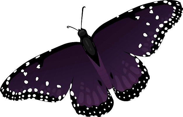 EPS 해외이미지 동물 디자인 나비 곤충 백그라운드 날개 일러스트 자연 장식 빨간색 여름 빛 봄 흰색 축하 오픈 벌레 작음 심볼 사인 싱글 생물학 무당벌레 산딸기 나방 내추럴 고립 무료 해외202004 해외일러스트 계절 교육 컬러 컨셉 과일 크기 생태계 파일형식 벡터 이미지허브