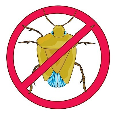 EPS 해외이미지 동물 곤충 날개 일러스트 발 생물 빨간색 갈색 금지 벌레 질병 작음 만화 심볼 오브젝트 사인 흰배경 그림 생물학 감염 기생충 전염병 해외202004 해외일러스트 교육 컬러 백그라운드 의학 신체부위 흰색 바이러스 크기 파일형식 벡터 이미지허브